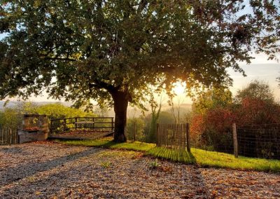 Côté cour, entrée et jardin - Les Vignes de Charlotte