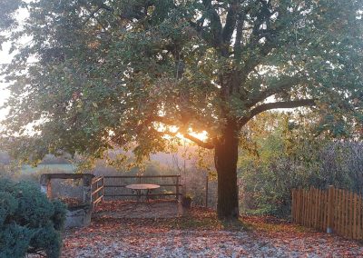 Côté cour, entrée et jardin - Les Vignes de Charlotte