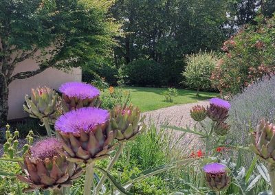 Côté cour, entrée et jardin - Les Vignes de Charlotte