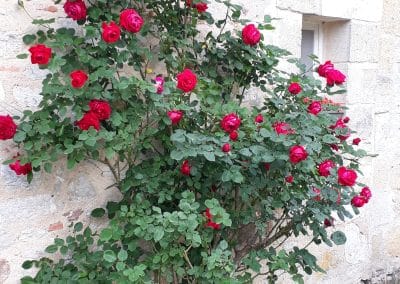 Côté cour, entrée et jardin - Les Vignes de Charlotte