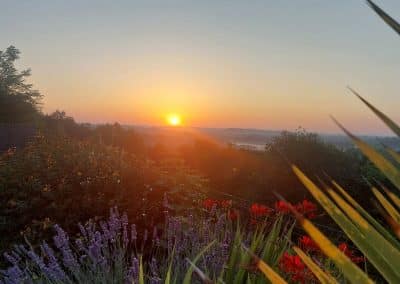 Côté cour, entrée et jardin - Les Vignes de Charlotte